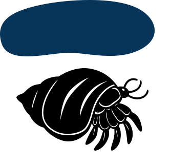 ヤドカリコース