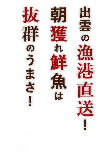 出雲の漁港直送！朝獲れ鮮魚は抜群のうまさ！