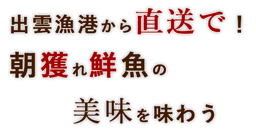 出雲漁港から直送で！朝獲れ鮮魚の美味を味わう